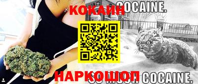 PSILOCYBIN Партизанск